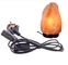 Лампа утеса соли проводка провода кабеля 25 ватт, шнур питания Ac 3 Prong